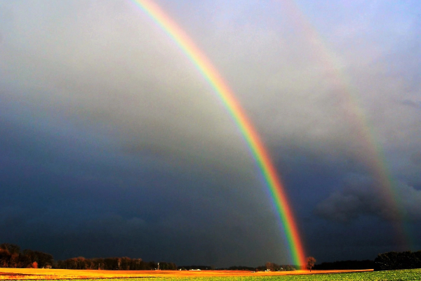 Rainbow