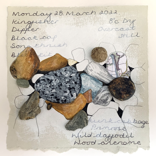 My Nature Journal