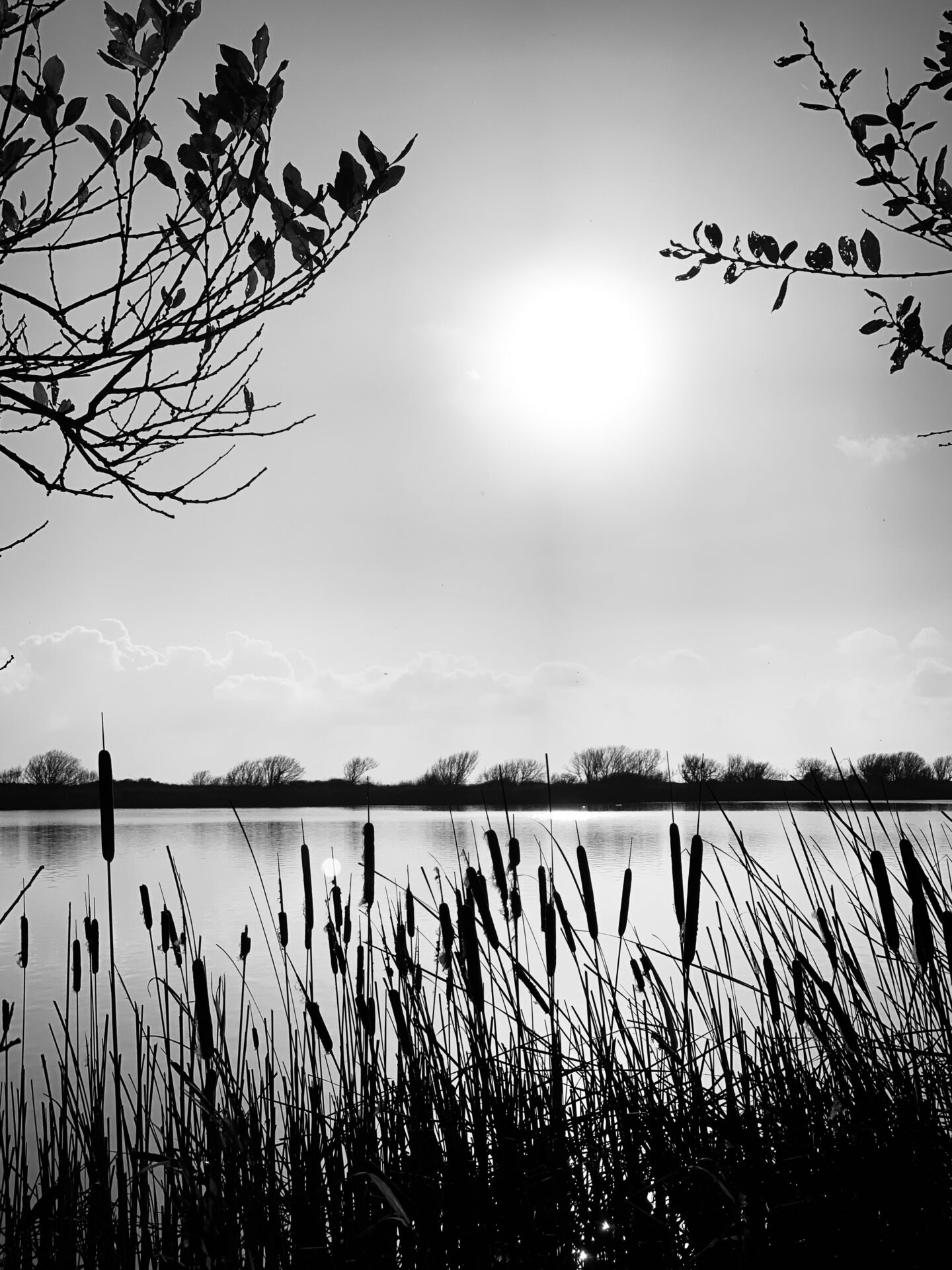 Slapton Ley