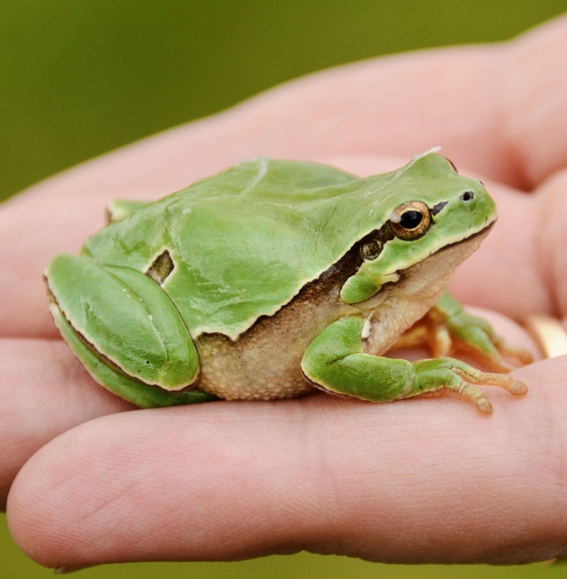Connecting with nature