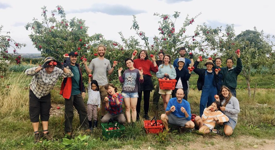 Helen Wood Image of a group of people harvesting apples