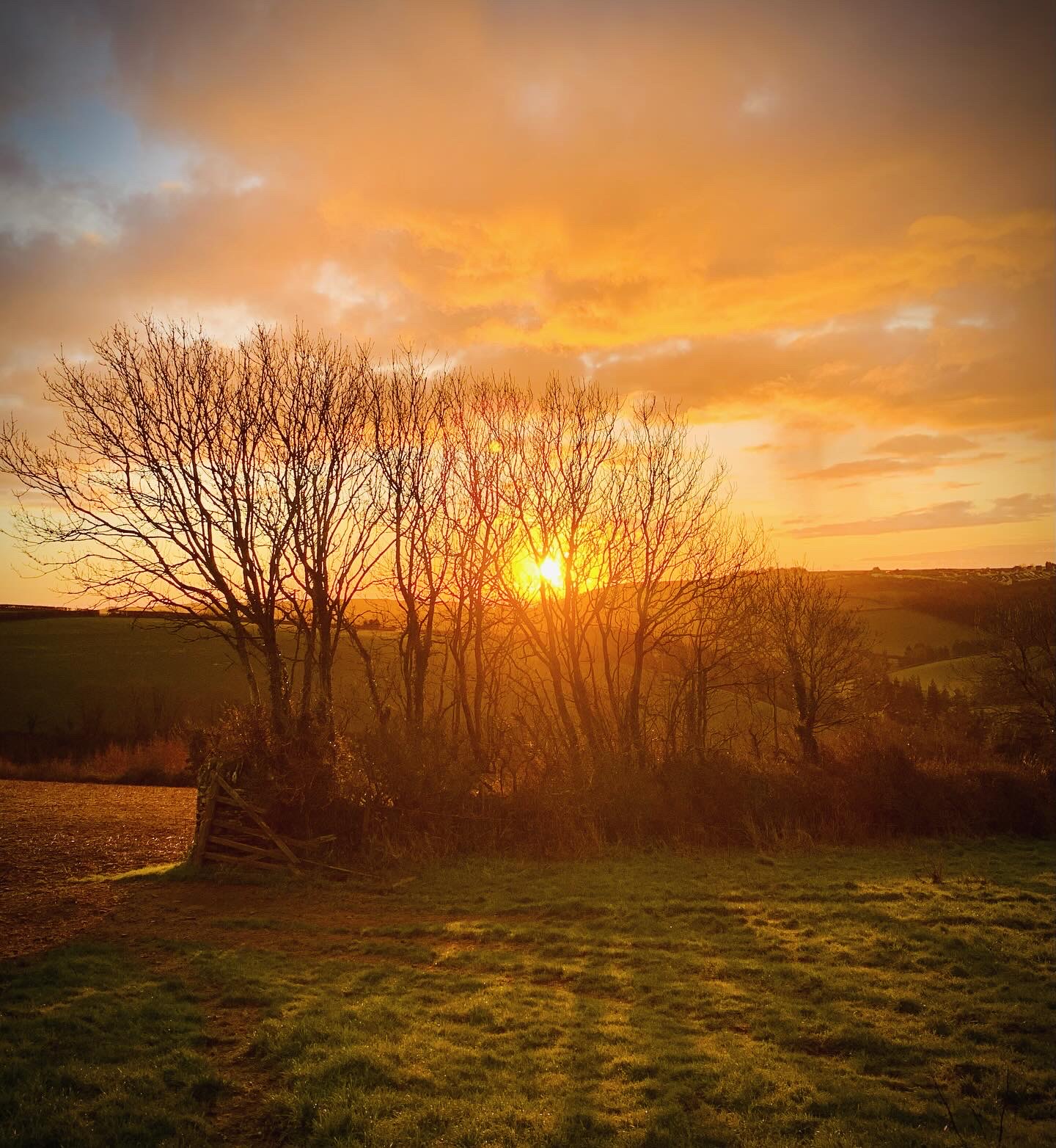 February sunrise