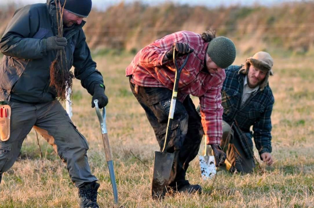 Pete Etheridge 3 Image of people planting trees